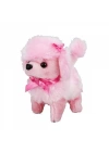 BFS   Sunman Sevimli Köpek Poodle