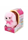 BFS   Sunman Sevimli Köpek Poodle