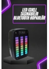 BFS Taşınabilir 6.5 inç LED Bluetooth Kareoke Hoparlör RGB Işıklı Radyolu