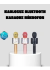 BFS Taşınabilir Karaoke Mikrofon – Bluetooth, USB ve AUX Girişli