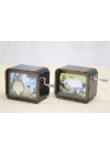 BFS Totoro Müzik Kutusu Alk3482