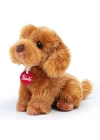 BFS   Trudi Peluş Toy Poddle Oliver Oturan Köpek 20 cm