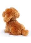 BFS   Trudi Peluş Toy Poddle Oliver Oturan Köpek 20 cm