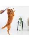 BFS  Tüy Açıcı Kedi Köpek Tarağı Tek Taraflı Metal Dişli Evcil Hayvan Bakım Fırçası