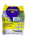 BFS Weber Joint Sil 415 Gri Derz Dolgu 2 Kg