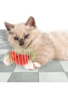 BFS  Yaylı Metal Fareli Kafes Kedi Oyun Topu Sıçrayan Spiral Kedi Topu