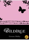 Bildirge