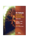 Bir Bakışta Solunum Sistemi