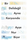 Bir Delideğil Ayna Karşısında