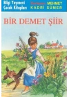 Bir Demet Şiir