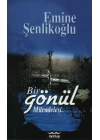 Bir Gönül Mücadelesi