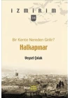 Bir Kente Nereden Girilir?: Halkapınar / İzmirim - 38