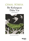 Bir Kırlangıcın Daha Var