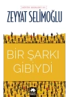 Bir Şarkı Gibiydi
