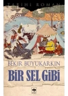 Bir Sel Gibi