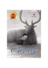 Biricik Sessiz Kitap