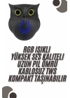 Bluetooth Hoparlör TWS Kablosuz RGB Işıklı Dekoratif Taşınabilir Baykuş
