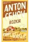 Bozkır