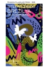 Brezilya - Geleceğin Ülkesi - Modern Klasikler Dizisi