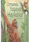 Çevir Bak Ormanda Yaşayan Hayvanlar