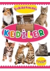 Çıkartmalı Kediler