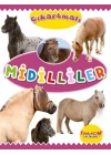 Çıkartmalı Midilliler
