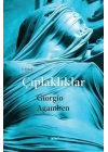Çıplaklıklar