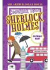 Çocuklar İçin Sherlock Holmes - Gizemli Vadi