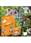 Çok Tatlı Koalalar - National Geographic Kids