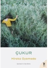 Çukur