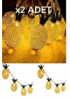 Dekoratif Pilli Pineapple Ananas Pilli Şerit Led Işık (1 Metre)