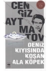 Deniz Kıyısında Koşan Ala Köpek