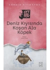 Deniz Kıyısında Koşan Ala Köpek