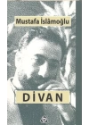 Divan Bütün Şiirler