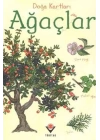Doğa Kartları - Ağaçlar