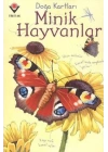 Doğa Kartları - Minik Hayvanlar