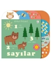 Dokun- Hisset / Sayılar