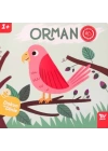 Dokun Ve Dinle Sesli Kitabım Orman
