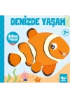 Dokun ve Hisset Denizde Yaşam