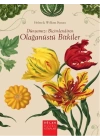 Dünyamızı Biçimlendiren Olağanüstü Bitkiler