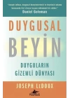 Duygusal Beyin: Duyguların Gizemli Dünyası
