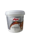 Dyo Akrosüper Ahşap Macunu 1,25 Kg
