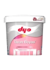 Dyo Tavan Boyası 17,5 Kg Beyaz