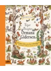 Eğer Bugün Ormana Gidersen - Kahverengi Ayı Ormanı