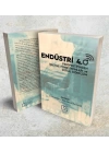 Endüstri 4.0 Perspektifinden İşletme Fonksiyonları ve Dijital Dönüşüm