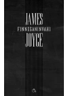 Finneganın Vahı