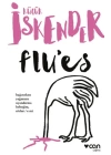 Flues
