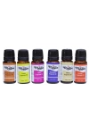 Fresh Assorted Fragrance Oil 24lü Set