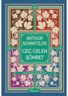 Geç Gelen Şöhret (Bez Ciltli)