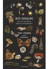 Gece Savaşları